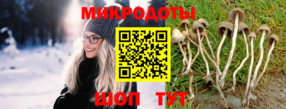 Псилоцибиновые грибы Magic Shrooms Губаха