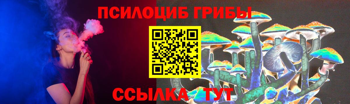 Губаха  Псилоцибиновые грибы GOLDEN TEACHER  Вход с VPN  Галлюциногенные грибы GOLDEN TEACHER 
